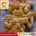 Factory Hot Sale Peanut in Shell New Crop